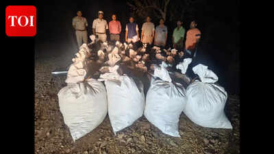 Malkangiri police seize 1250 kg ganja, intensify anti-drug operations