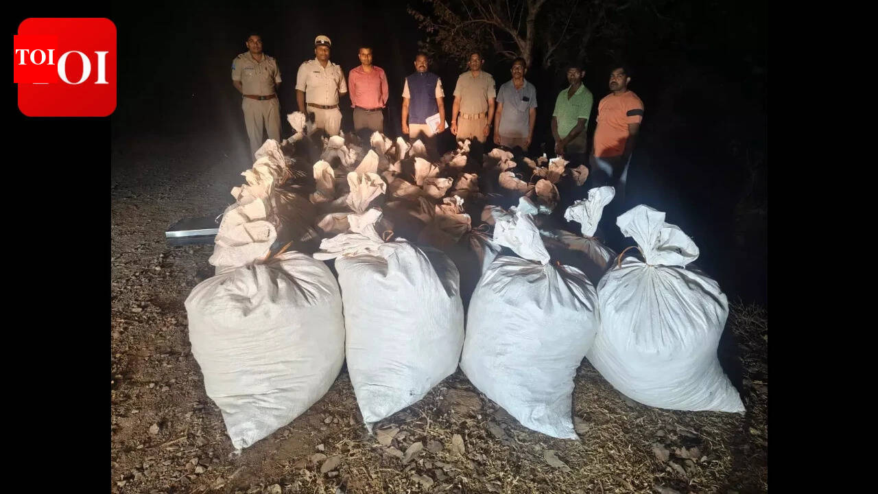 Malkangiri police seize 1250 kg ganja, intensify anti-drug operations