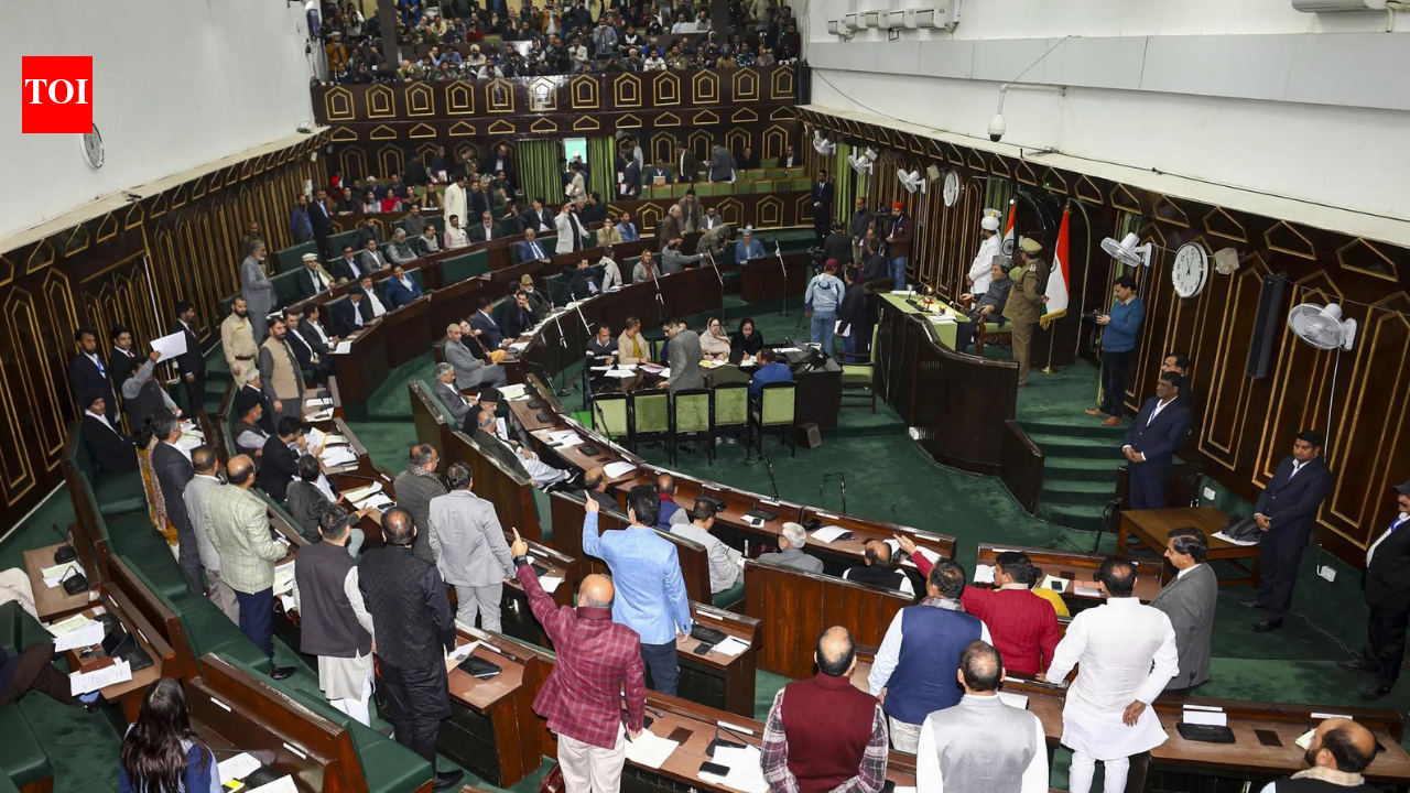Young J&K MLA draws praise from across the aisle for House speech