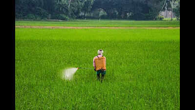 Adequate urea supply to Haryana in last five years: Centre