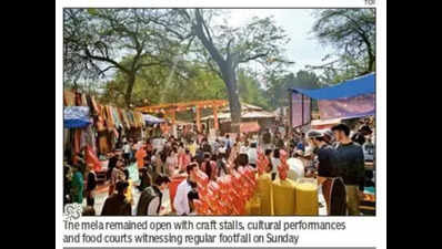 Amusement zone sealed after swing crash, but Surajkund craft fair sees heavy footfall