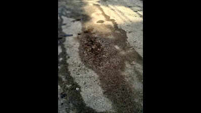 Residents seek repairs of road left potholed after sewer work in Sector 22