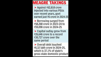CAG report flags dismal returns for Raj govt on equity infusion in PSUs