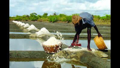 Govt earmarks Rs 1 lakh each to 75 farmers to revive salt pans