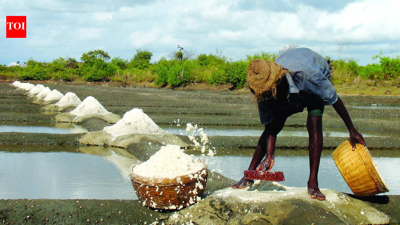 Govt earmarks Rs 1 lakh each to 75 farmers to revive salt pans