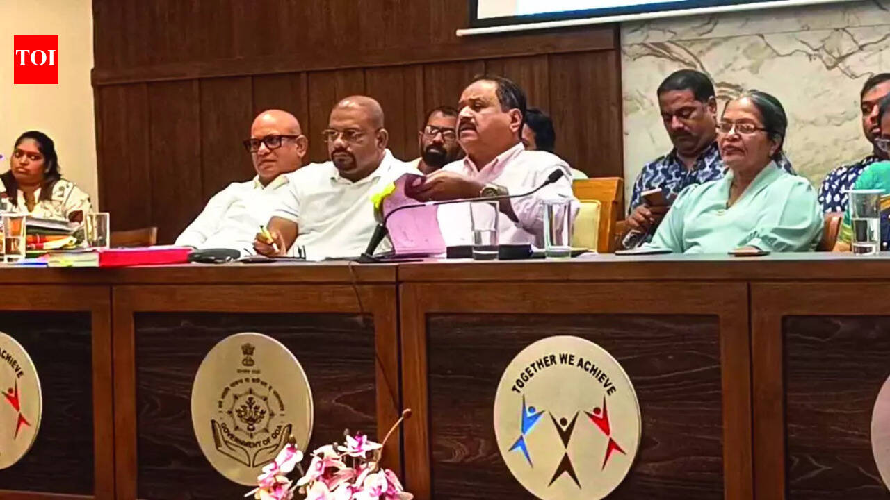 Calangute sarpanch: Can’t stop works approved under ODP until SC order