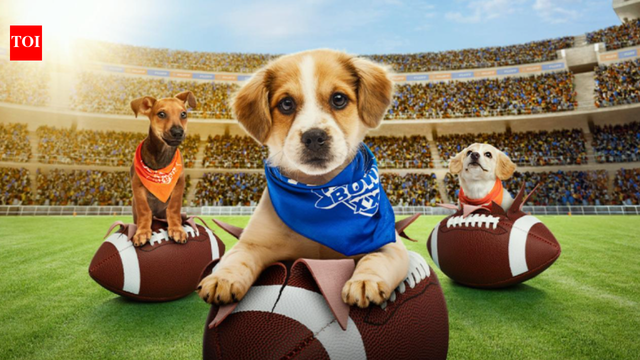 When will Puppy Bowl XXII take place? TV schedule, streaming options, and lineup preview before Super Bowl LX