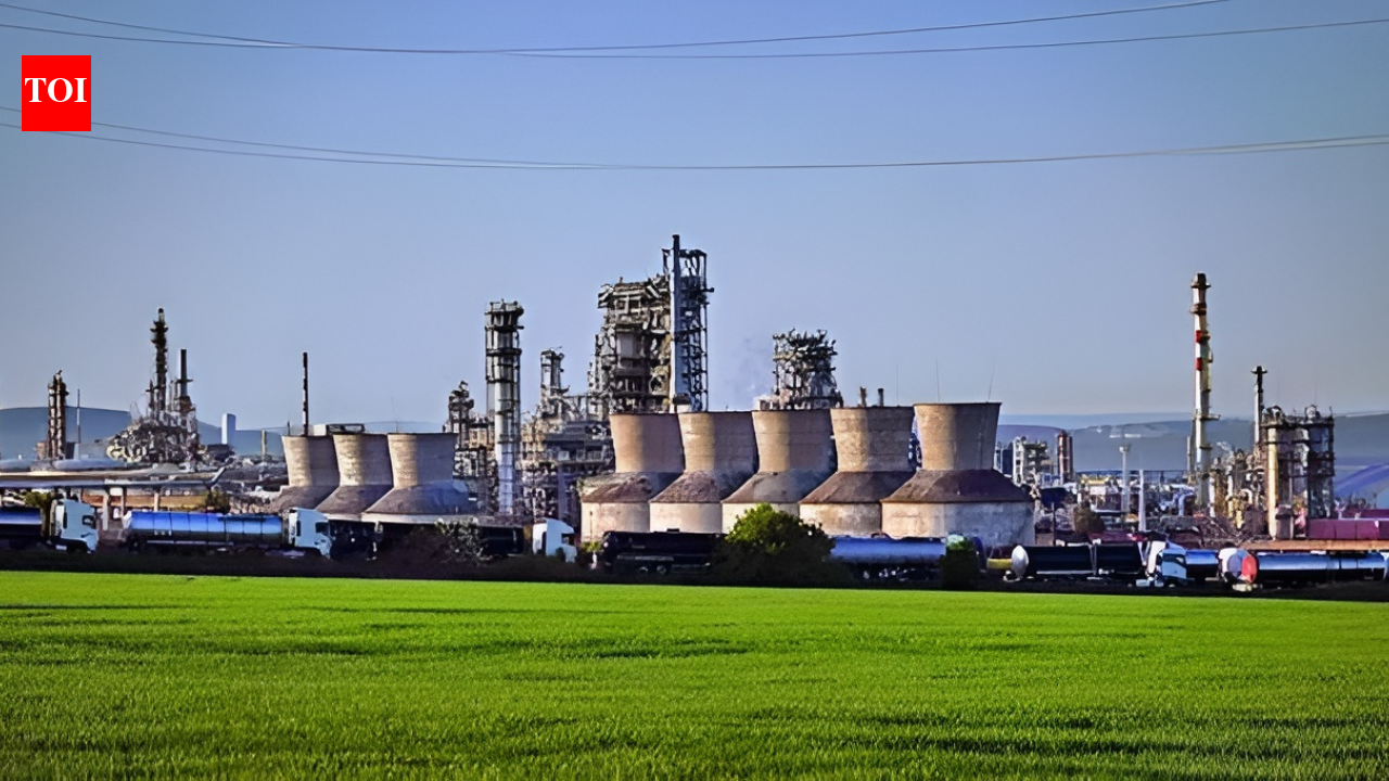 Nayara's future unsure: India may bargain with US for Russian crude