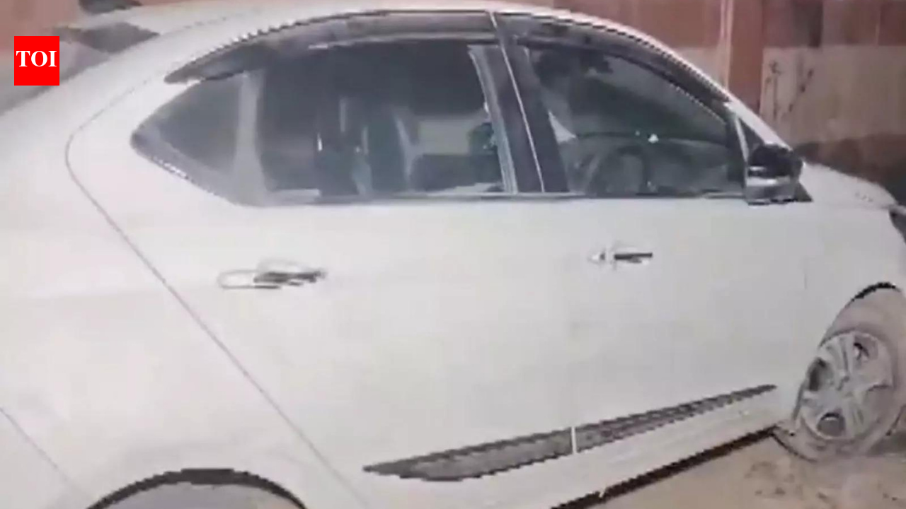 Triple suicide? 3 found dead in car parked near west Delhi flyover; 'poisonous' smell detected in vehicle