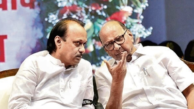 Did alliance work? Zilla parishad results to show if NCP–NCP(SP) merger makes sense, say experts