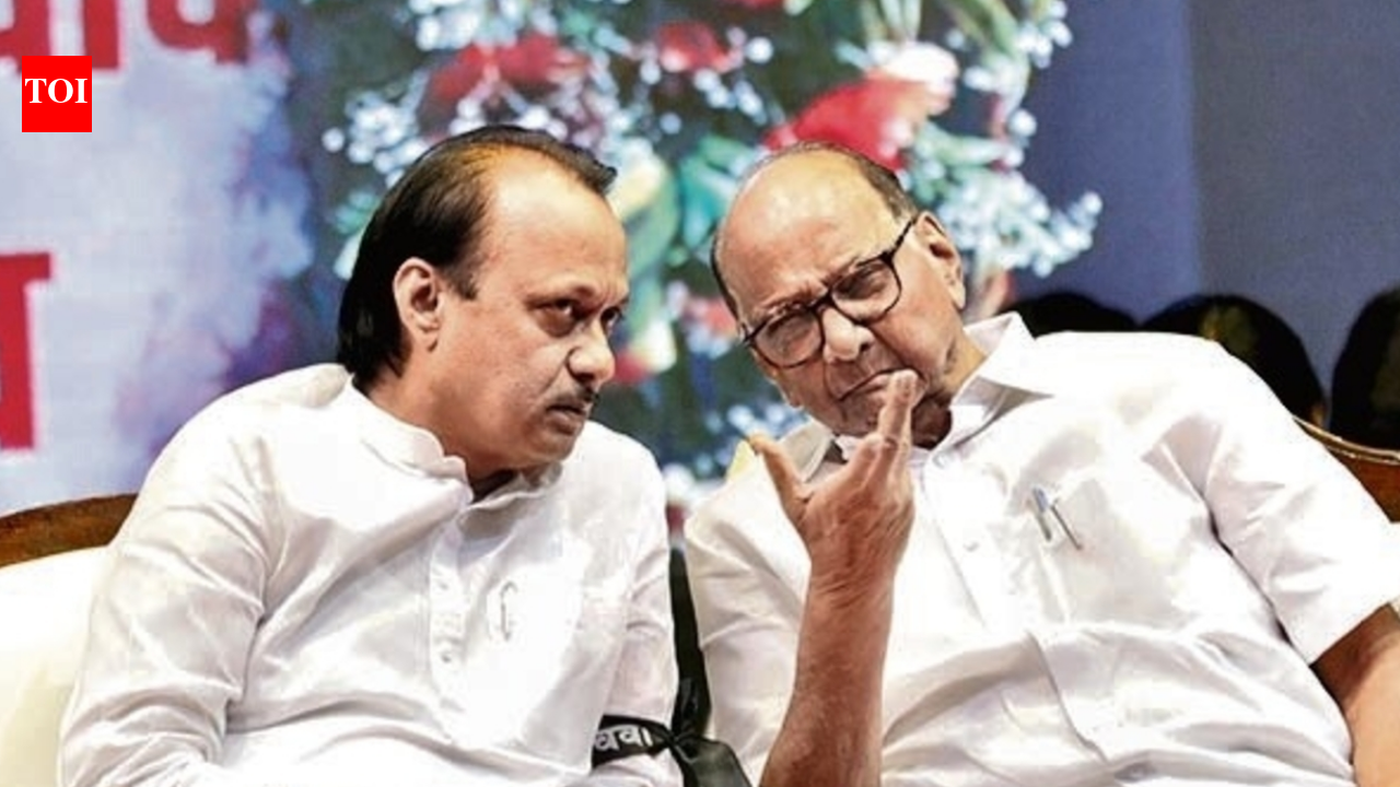 Did alliance work? Zilla parishad results to show if NCP–NCP(SP) merger makes sense, say experts