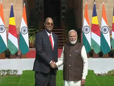 Prime Minister Narendra Modi meets Seychelles President Patrick Herminie