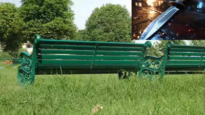 Bloodshed at DDA park: 2 separate stabbing incidents rock Delhi; 1 dead, another injured