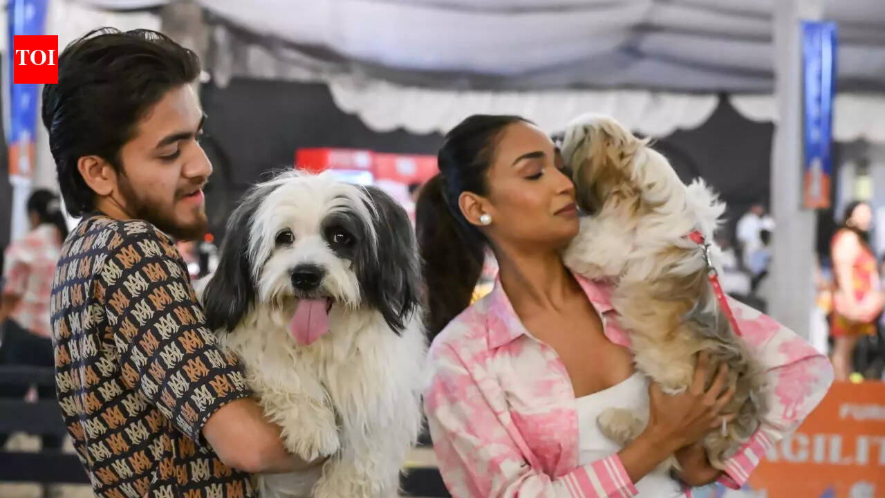 PETS’ DAY OUT IN THE CITY