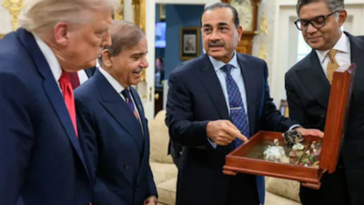 From Minerals Gift To Diplomatic Snub: Pakistan Misses Out On Key US Meet While India Takes Seat
