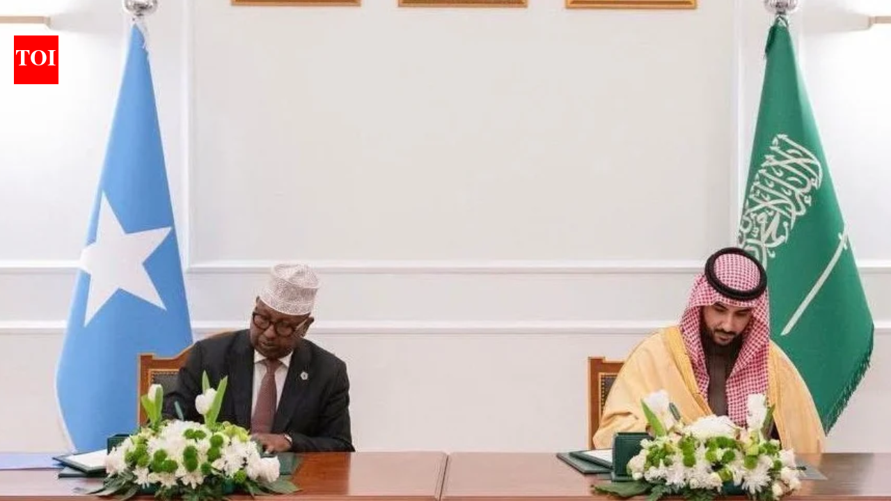 Somalia signs defence pact with Saudi Arabia amid Gulf rivalries in Horn of Africa