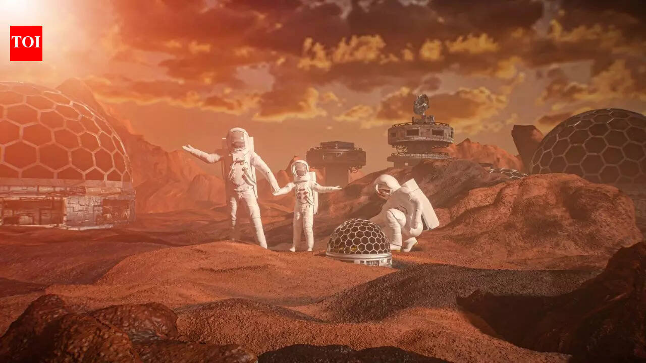 क्या इंसान अंतरिक्ष में बच्चे पैदा कर सकते हैं? शोधकर्ता जो कहते हैं वह आपको चौंका सकता है |