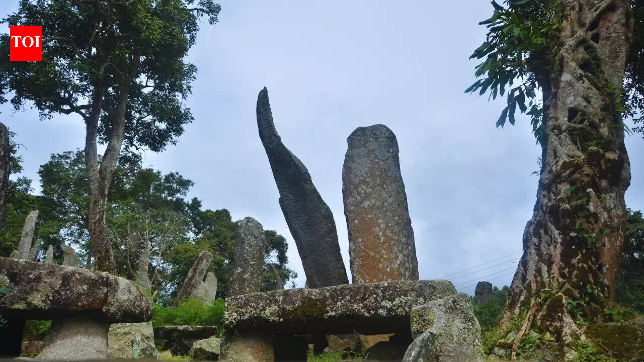 Why is it forbidden to take anything from this sacred forest in Meghalaya?