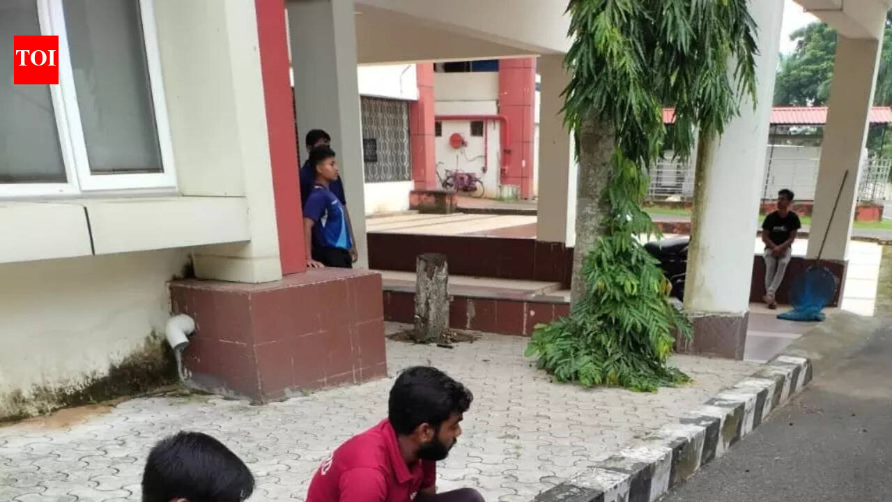 BMC to catch and rehabilitate stray dogs in phases from 457 institutions