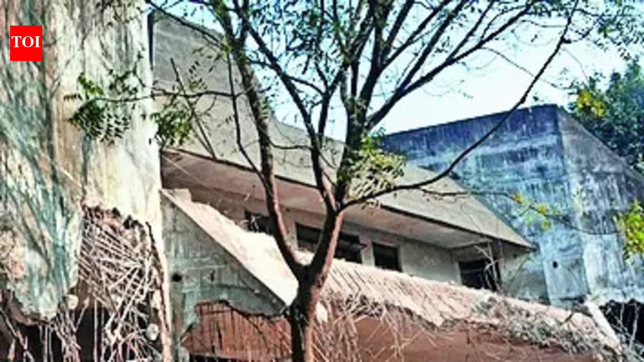 Demolition begins to pave way for development of Patna Haat