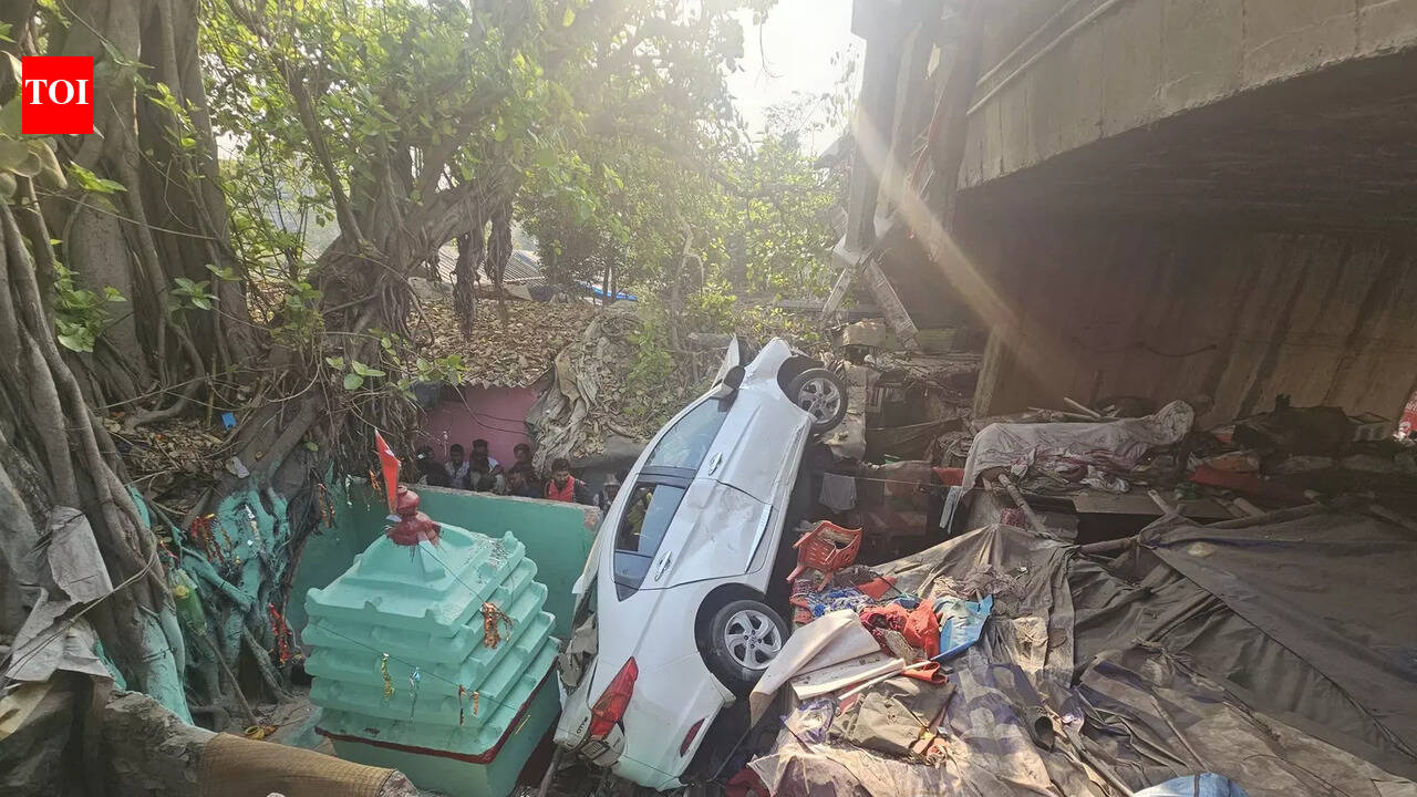 Car fleeing murder scene plunges 20ft from overbridge