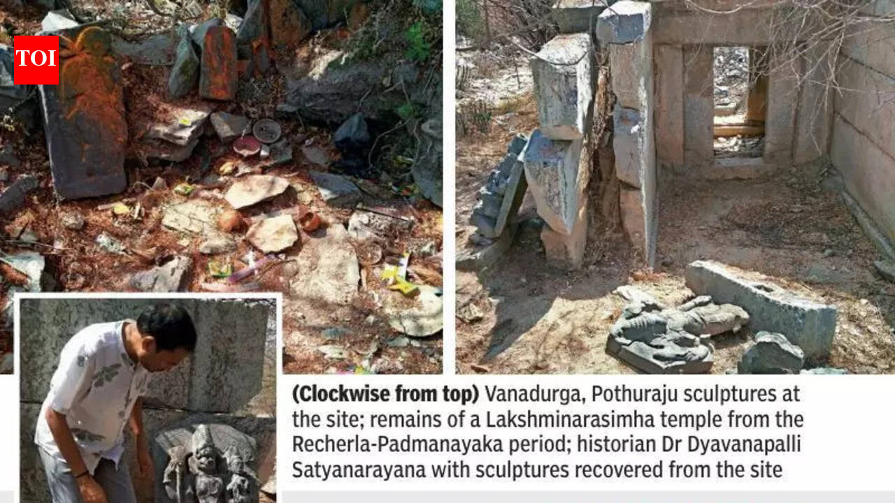 Lost city by the Krishna: 3,000 years of history unearthed in Nalgonda ...