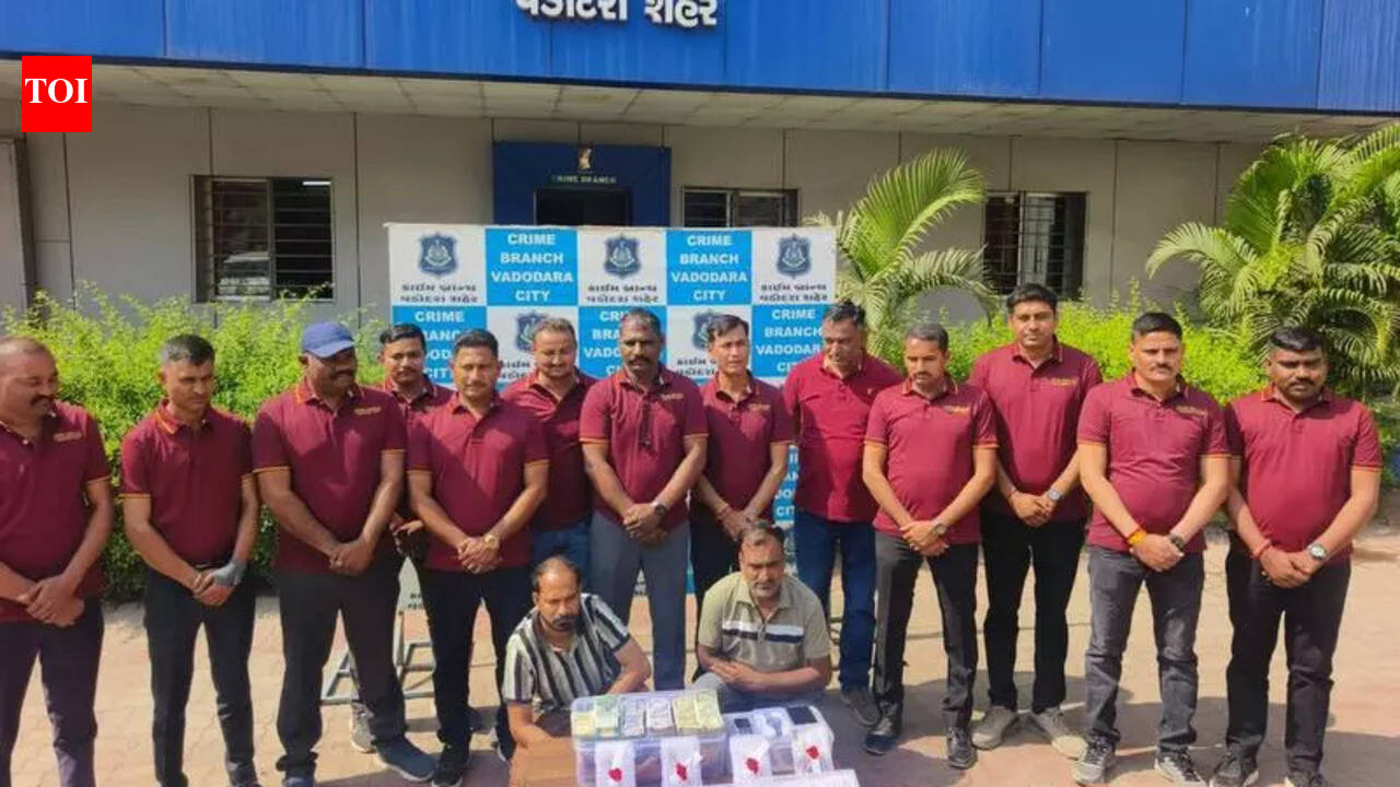 Business venture fails, serial burglar returns to crime world