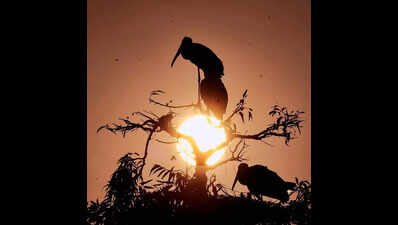 Clear skies, warmer days ahead