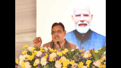 Govt working on priority to promote Ayurveda: CM