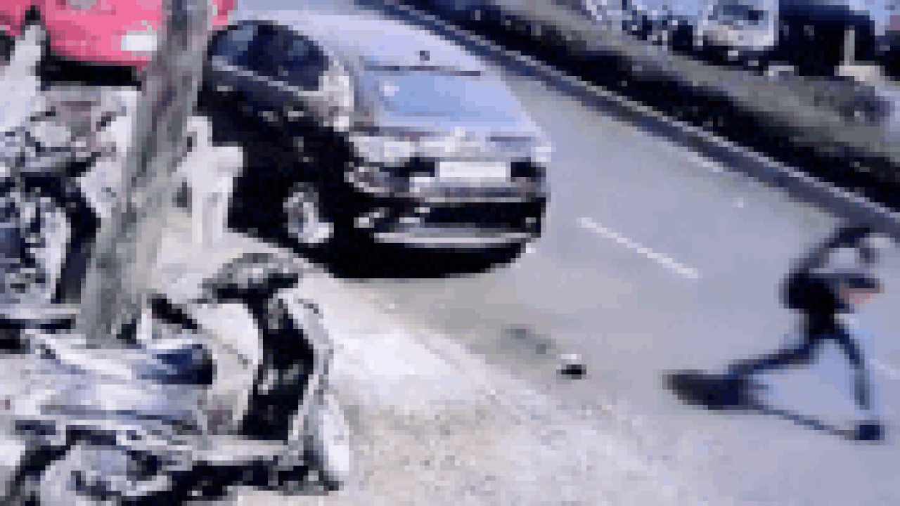 1 girl vs 10 dogs: CCTV captures stays attacking 9-year-old in Dombivli society