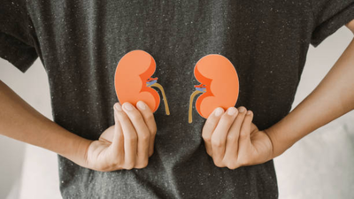  How incompatible kidney transplants are now possible