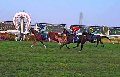 A celebration of UK-India relations on the racecourse