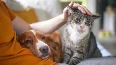 The ‘Cat vs. Dog’ parenting approach can help parents let go, without pulling away