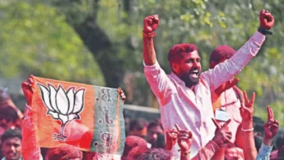 Maharashtra zilla parishad polls: BJP expands rural reach, Congress draws a blank in Pune