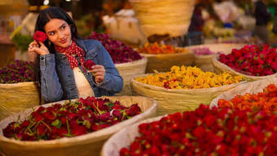 Romance at a premium! Valentine’s roses get pricier