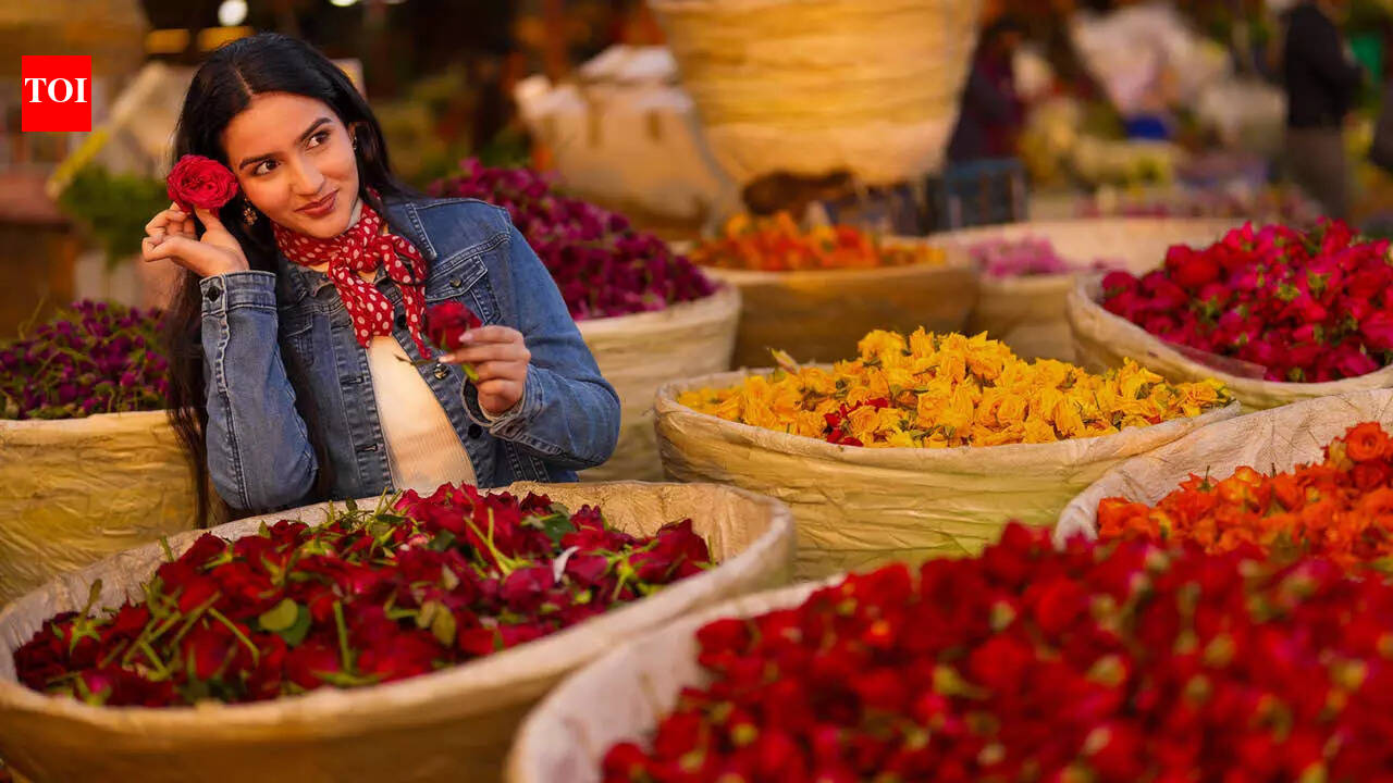 Romance at a premium! Valentine’s roses get pricier