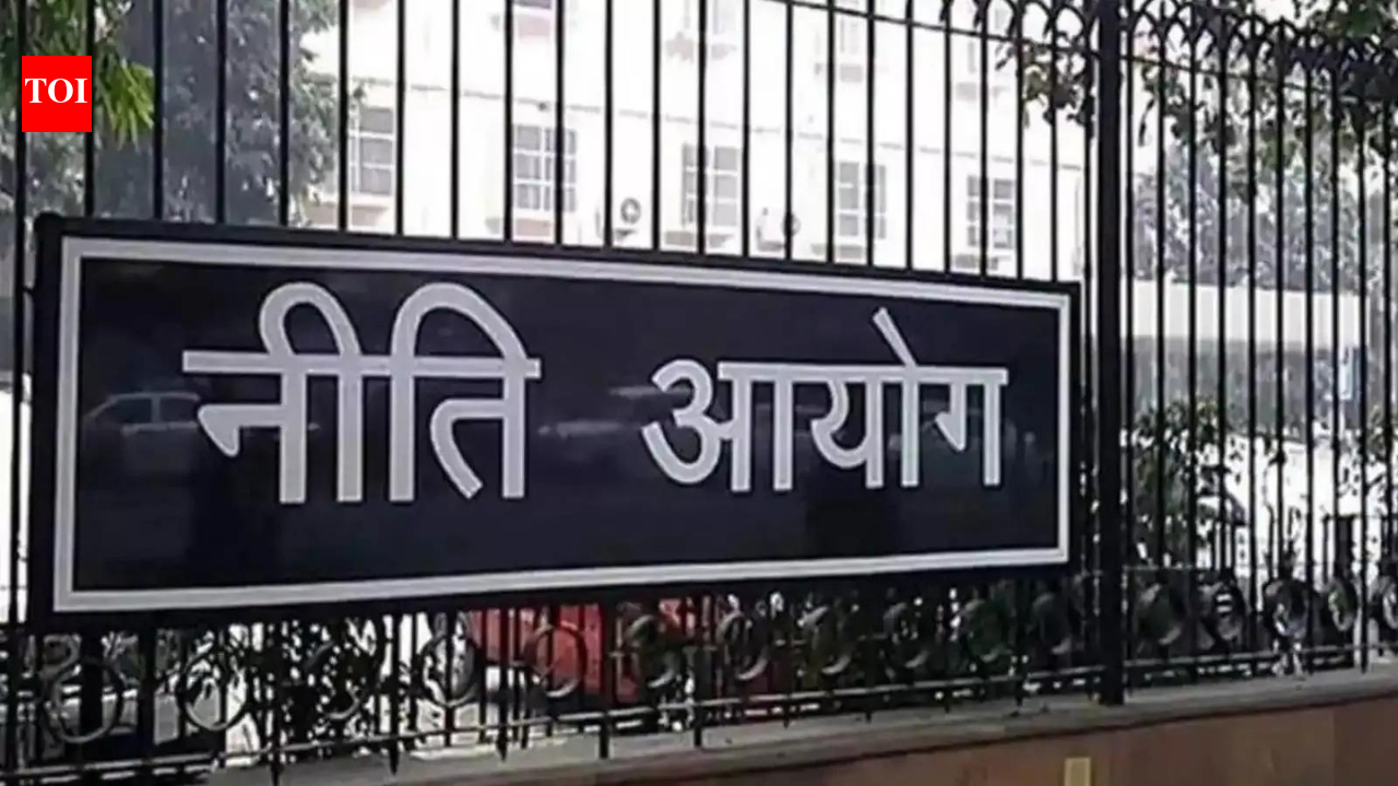 India needs $14.23tn investment in power sector by 2070 to meet net-zero goal: Niti Aayog