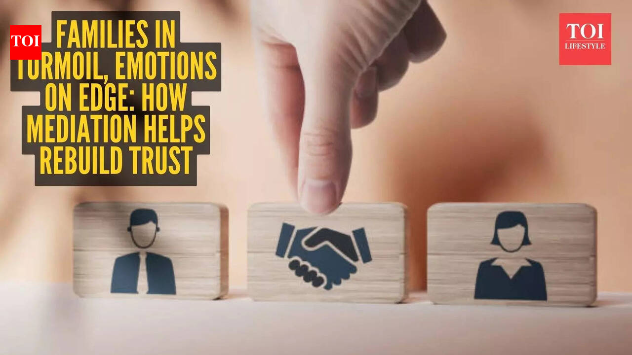 उच्च-संघर्ष वाले परिवार और संकट में भावनाएँ: मध्यस्थता वास्तव में कैसे काम करती है |