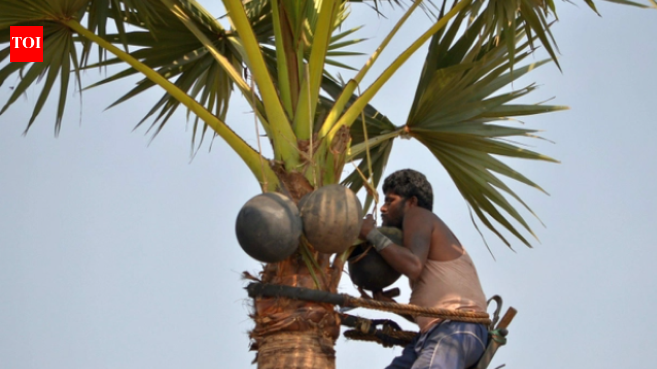 Tamil Nadu govt should lift ban on toddy: Palm climbers