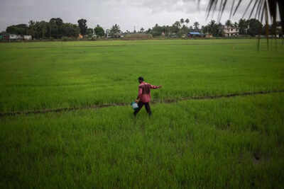 Mismatch in fertiliser DBT buyers and PM-KISAN data raises red flags for panel