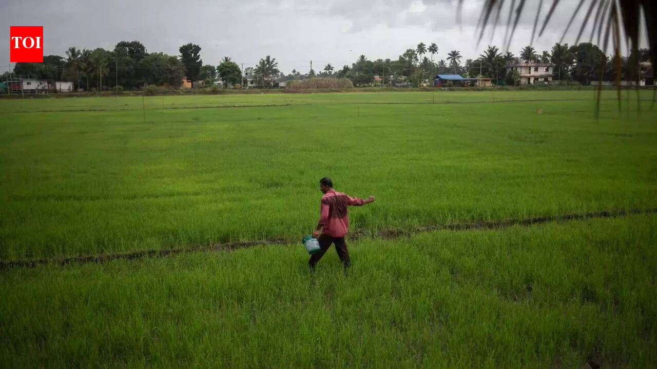 Mismatch in fertiliser DBT buyers and PM-KISAN data raises red flags for panel