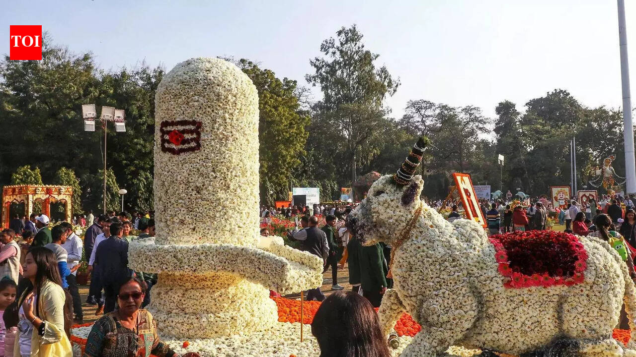 Can You Keep a Shiv Ling at Home? Meaning, Types, and Simple Guidelines