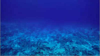 Fishnet centre helps fishers earn a few extra bucks