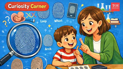 Curiosity Corner: Why do we have fingerprints, and why are they all different?