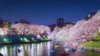 Why Tokyo in Japan is the most unexpected Valentine’s Day destination for Indian travellers