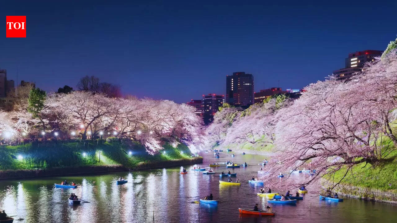 Why Tokyo in Japan is the most unexpected Valentine’s Day destination for Indian travellers