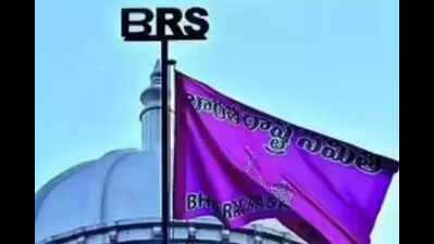 Urge SEC to take action against Gadwal MLA for violations: BRS