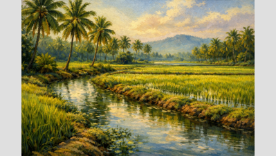 Tamil Nadu Draining Its Future: Government Fails to Prevent Groundwater Collapse