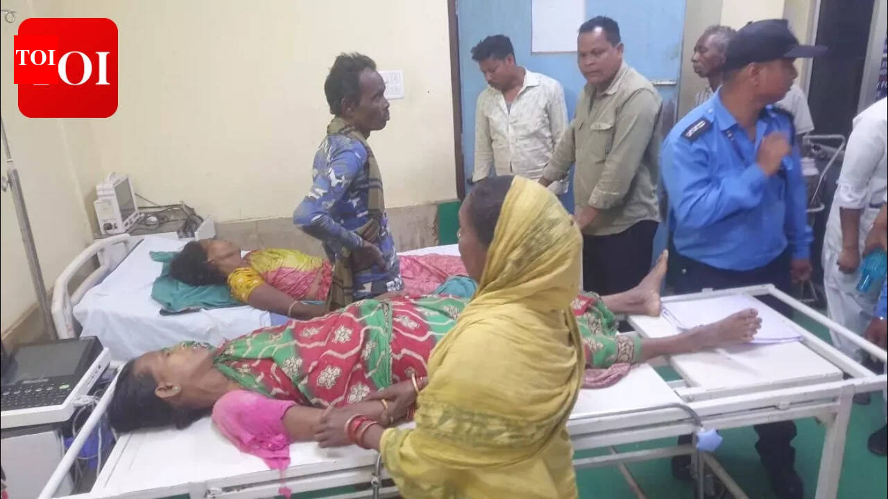 Dhenkanal elephant attack: 3 women killed, 3 injured during forest firewood collection