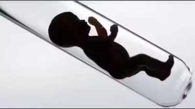 Police arrest two more for preparing forged documents